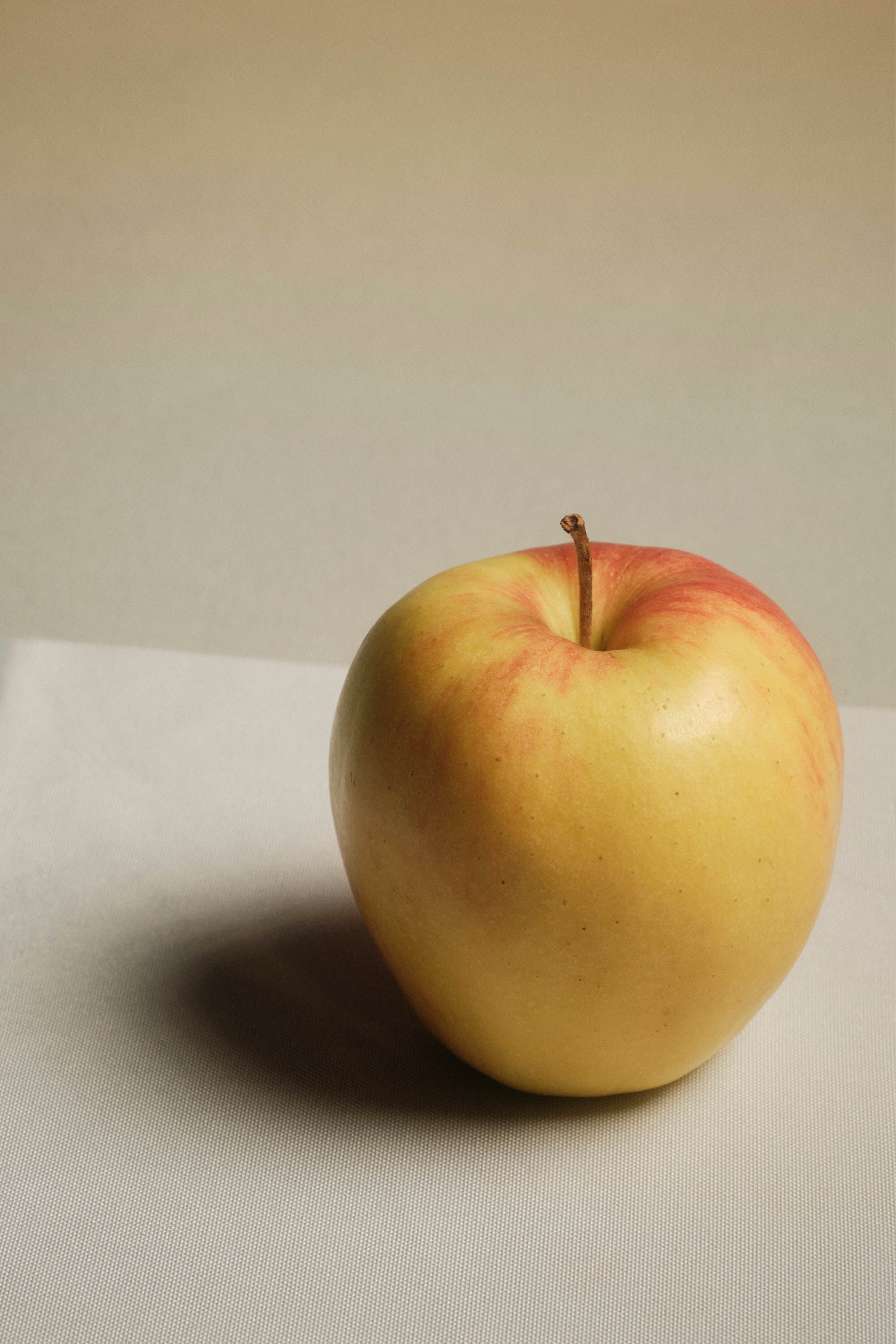 シューズ ウィメンズ | ジル・サンダー公式オンラインストア